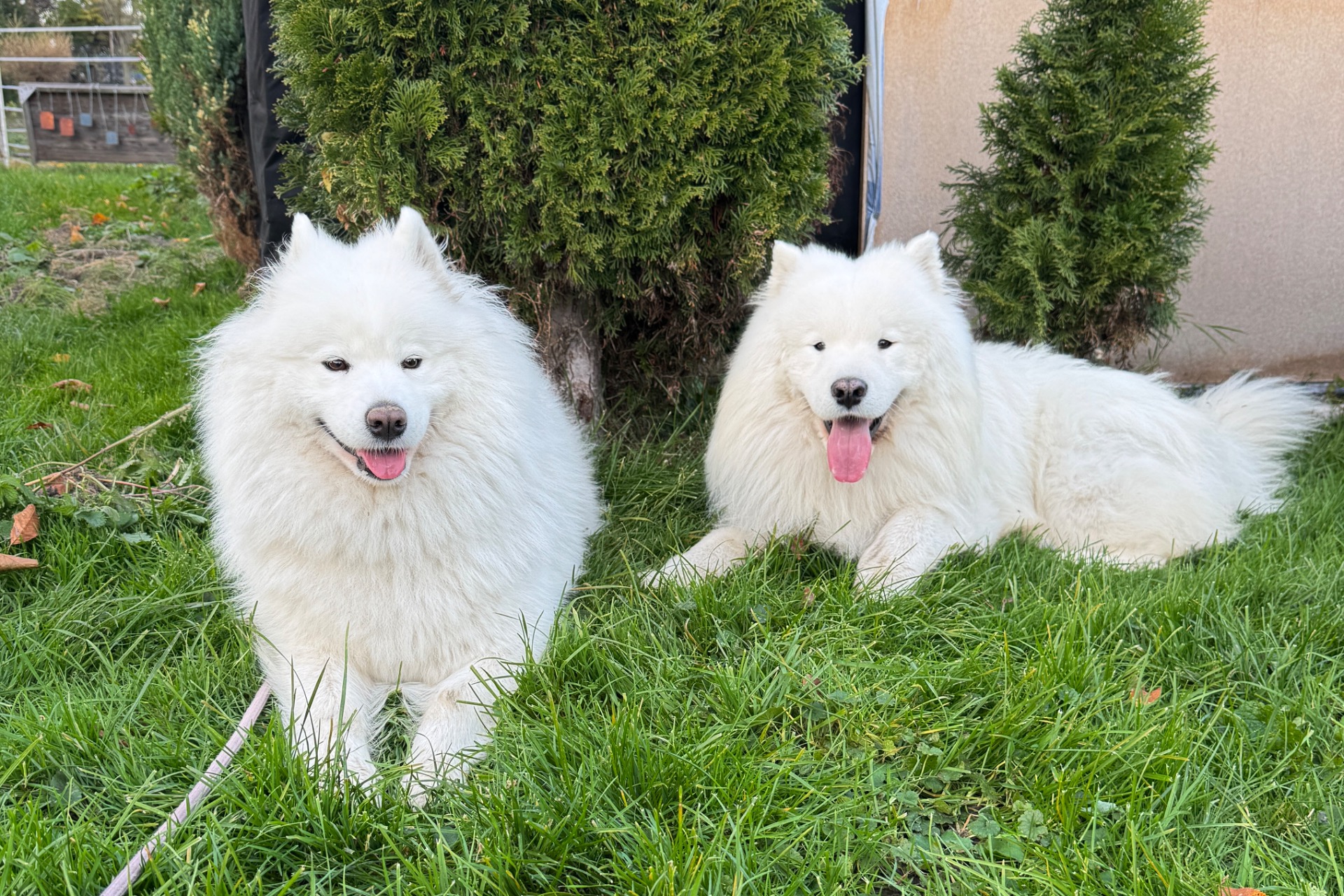 Ebbi se svým nápadníkem - Greg Sam of Edward Větrná Bouře